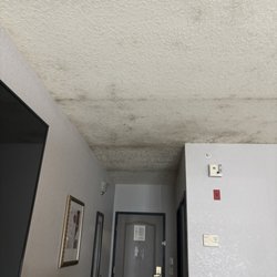 Country Inn & Suites by Radisson, Jacksonville West, FL - Mold