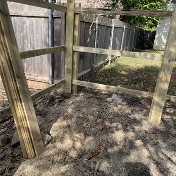Austin Stump Buster - Tree Services Near Me