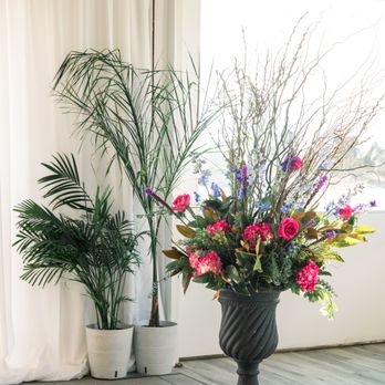 Anne Mendenhall Flowers - Florists Near Me Anne Mendenhall Flowers - Florists Near Me