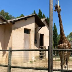 Parco Zoo Punta Verde