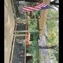 Photo of NWA Deck&Fence