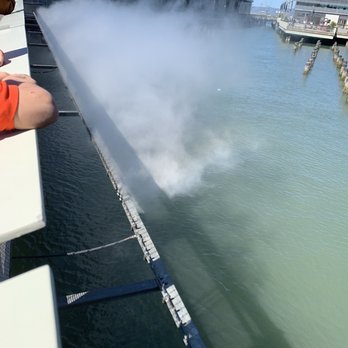 Exploratorium - Fog show. - Venues & Event Spaces Near Me - San Francisco, California Exploratorium - Fog show. - Venues & Event Spaces Near Me - San Francisco, California