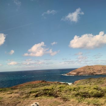 Hawaii Turtle Tours - Tours Near Me - Honolulu, Hawaii Hawaii Turtle Tours - Tours Near Me - Honolulu, Hawaii
