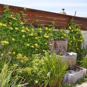 Steve Harbour Landscapes - a garden with yellow flowers - Landscaping Near Me Steve Harbour Landscapes - a garden with yellow flowers - Landscaping Near Me
