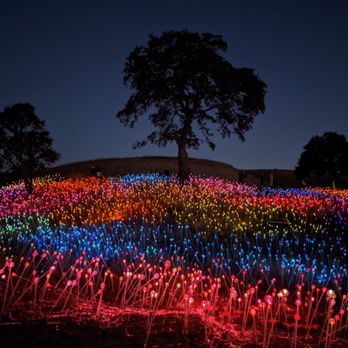 Sensorio - Art Galleries Near Me - Paso Robles, California Sensorio - Art Galleries Near Me - Paso Robles, California