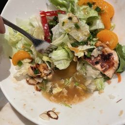Nobody wants a swimming salad Nobody wants a swimming salad