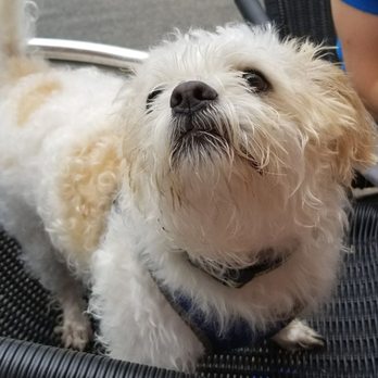 Shady Grove - Tucker enjoyed his time here! - American Near Me - Pittsburgh, Pennsylvania Shady Grove - Tucker enjoyed his time here! - American Near Me - Pittsburgh, Pennsylvania
