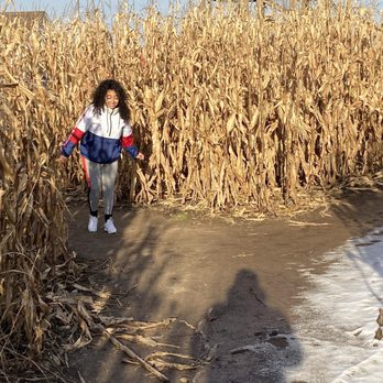 Richardson Farms - Corn maze. - Christmas Trees Near Me - Spring Grove, Illinois Richardson Farms - Corn maze. - Christmas Trees Near Me - Spring Grove, Illinois