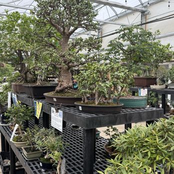 Telly's Greenhouse - Nurseries & Gardening Near Me - Troy, Michigan Telly's Greenhouse - Nurseries & Gardening Near Me - Troy, Michigan