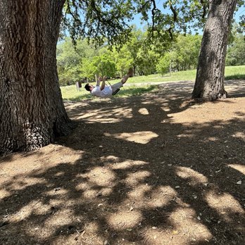 Lady Bird Johnson Wildflower Center - Stop on the trail with swings! - Botanical Gardens Near Me - Austin, Texas