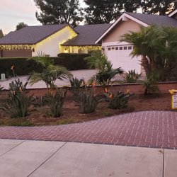 Timber Tree Service