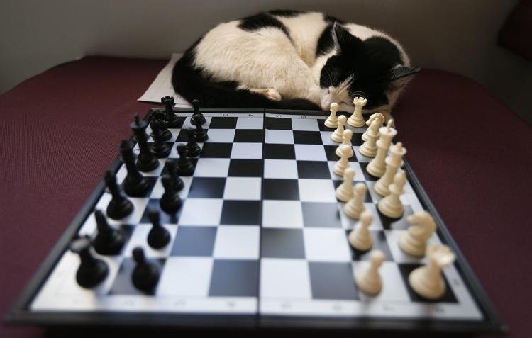 Bishop Vineyard & Winery - vineyard in Sherrill, IA