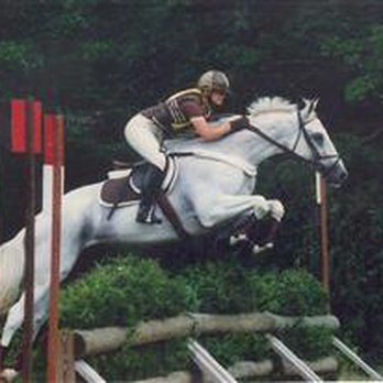 Hunting Horn Farm - Fran Horn - Horseback Riding Near Me - Glen Head, New York Hunting Horn Farm - Fran Horn - Horseback Riding Near Me - Glen Head, New York