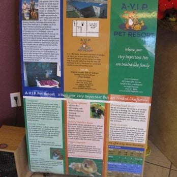 A-VIP Pet Resort - Pet Boarding Near Me - Las Vegas, Nevada