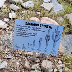 Lost Dog Wash Trail - This was interesting