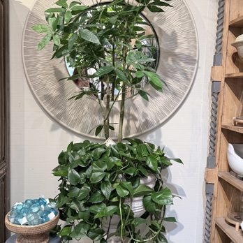 Roger's Gardens - Nurseries & Gardening Near Me - Corona Del Mar, California