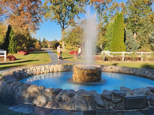 Stanley Park by null