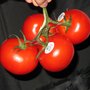 Photo of Produce Stand