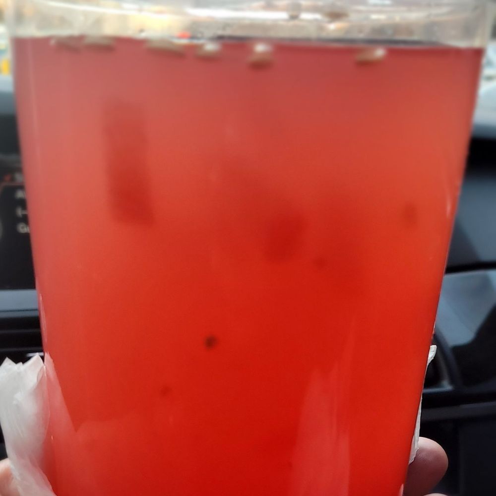 Burrito Feliz Philly - Watermelon tea - Food Trucks Near Me