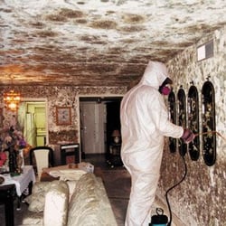 AllStates Cleaning & Restoration Services - Mold Removal Service Monmouth NJ