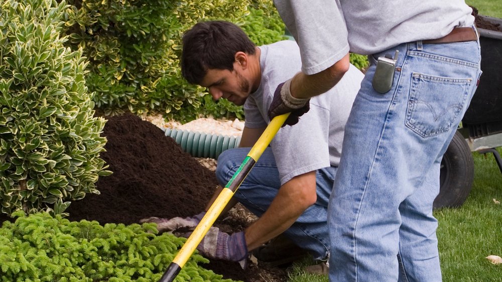 LEVEL LAWN Updated September 2024 Request a Quote Kelowna