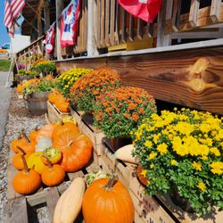 Orr's Farm Market at the Junction - Orr's Farm Market at the Junction Fall 2024