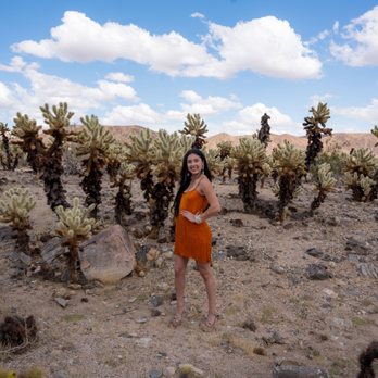 Cholla Cactus Garden - Hiking Near Me - Eagle Mountain, California