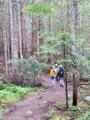 Ziptrek Ecotours by null