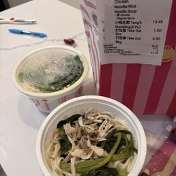 shredded chicken noodle soup all soup is gone