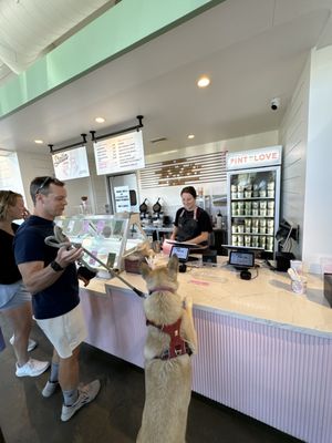 Stella Jean's Ice Cream by null