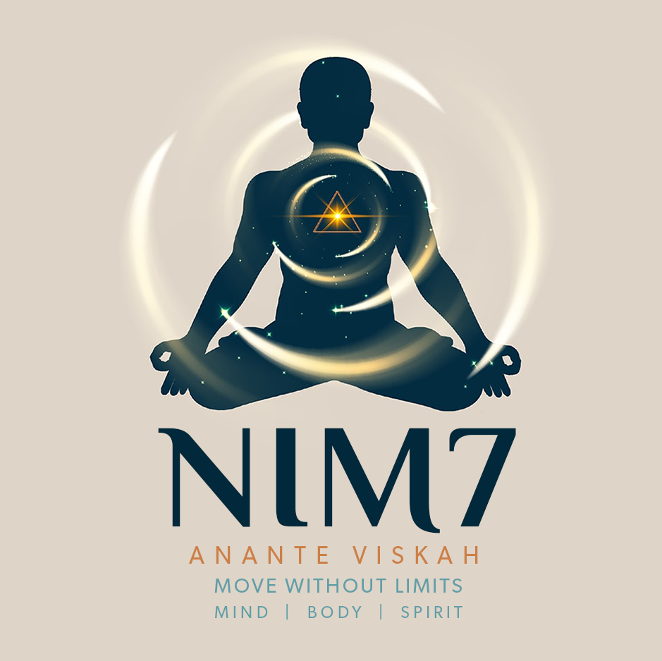NIM7 Logo