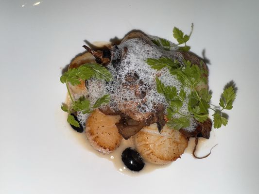 Hotel Dukes' Palace by null