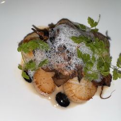 Hotel Dukes' Palace - Scallops with wild mushrooms