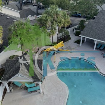 Kari's Tree Service - Trimming palm tree's - Tree Services Near Me Kari's Tree Service - Trimming palm tree's - Tree Services Near Me