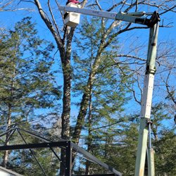 Arbortech Tree Service