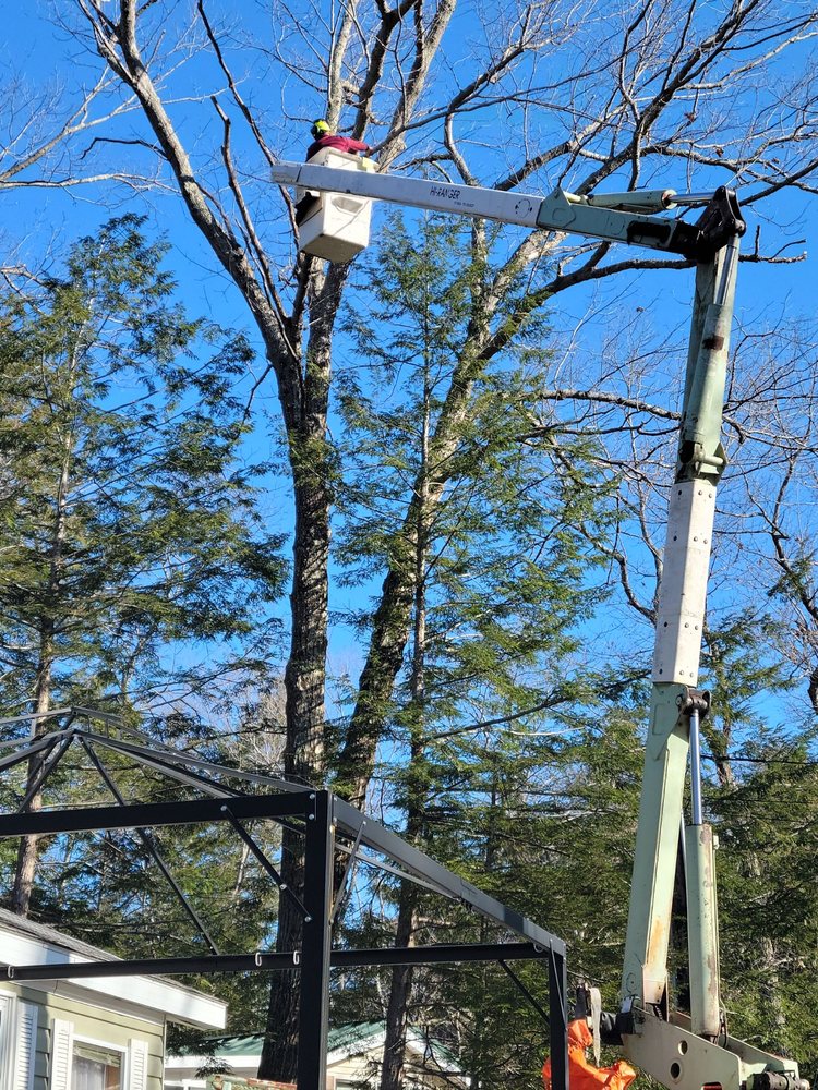 Arbortech Tree Service - tree service in Charlton, MA