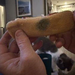 Moldy Steak Frank