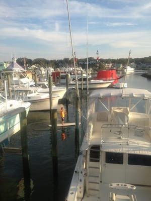 Rockafeller's Restaurant by null