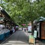 Bellingham Farmers Market