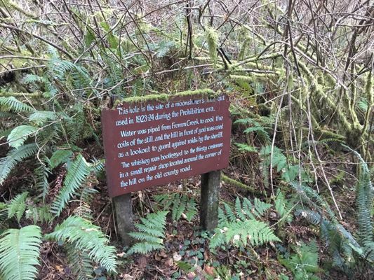 Prehistoric Gardens by null