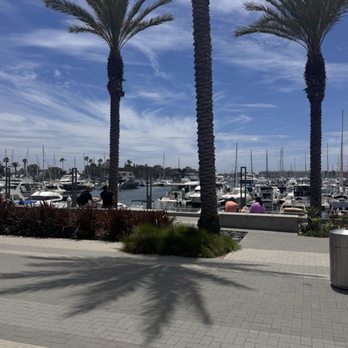 Alfred Coffee - Coffee & Tea Near Me - Marina Del Rey, California Alfred Coffee - Coffee & Tea Near Me - Marina Del Rey, California