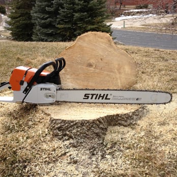 Tree Takers - Tree Services Near Me