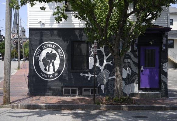 Black Elephant Hostel by null