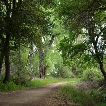 Lodi Lake Nature Trail - Parks Near Me - Lodi, California