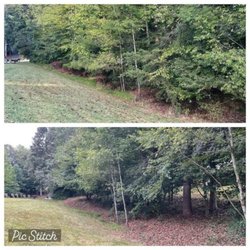 Limbwalkers Tree Service - Before and after of trimming and elevation in manassas va