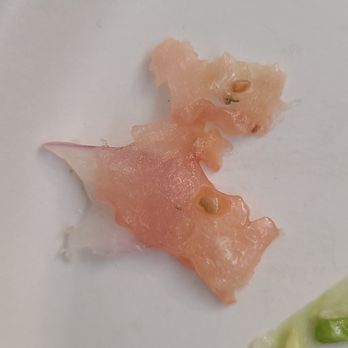 Good Behaviour - Wtf is this, Ugh so bad - Ice Cream & Frozen Yogurt Near Me - Toronto, Ontario