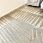 Photo of Carpet Cleaning By Ortiz