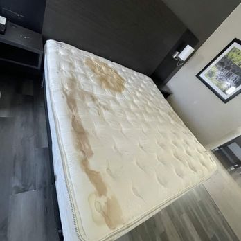 Quality Inn & Suites - Hotels Near Me - Danbury, Connecticut