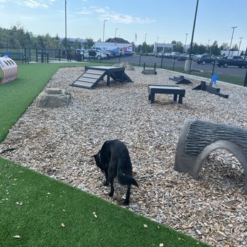 Capitol Subaru - Dog park - Car Dealers Near Me - Salem, Oregon