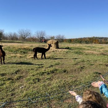 Homestead Farm - Fruits & Veggies Near Me - Poolesville, Maryland